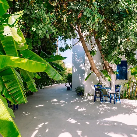 Casa Di Roma 4* パロス島